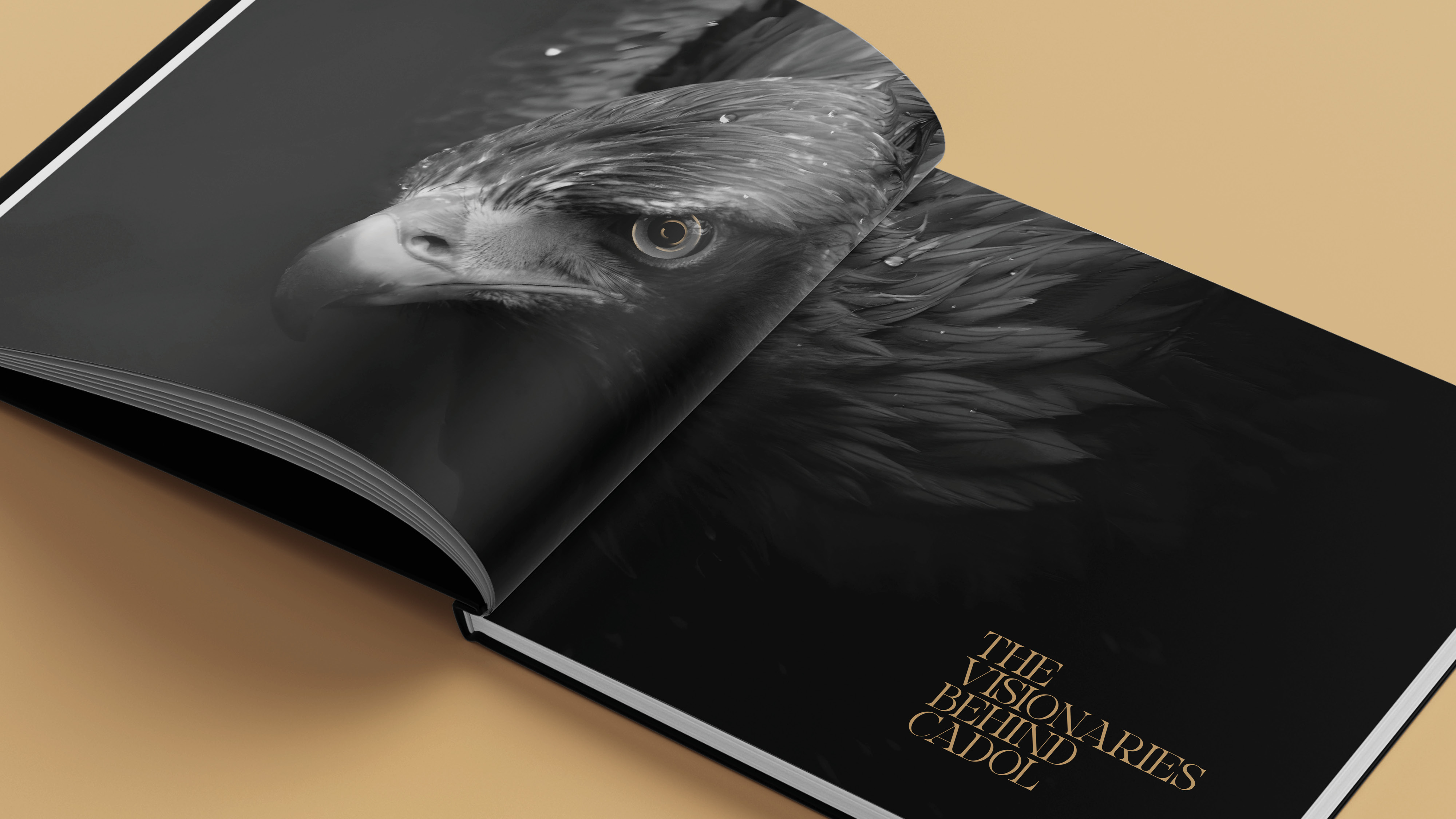 Opening slide_Cadol 18