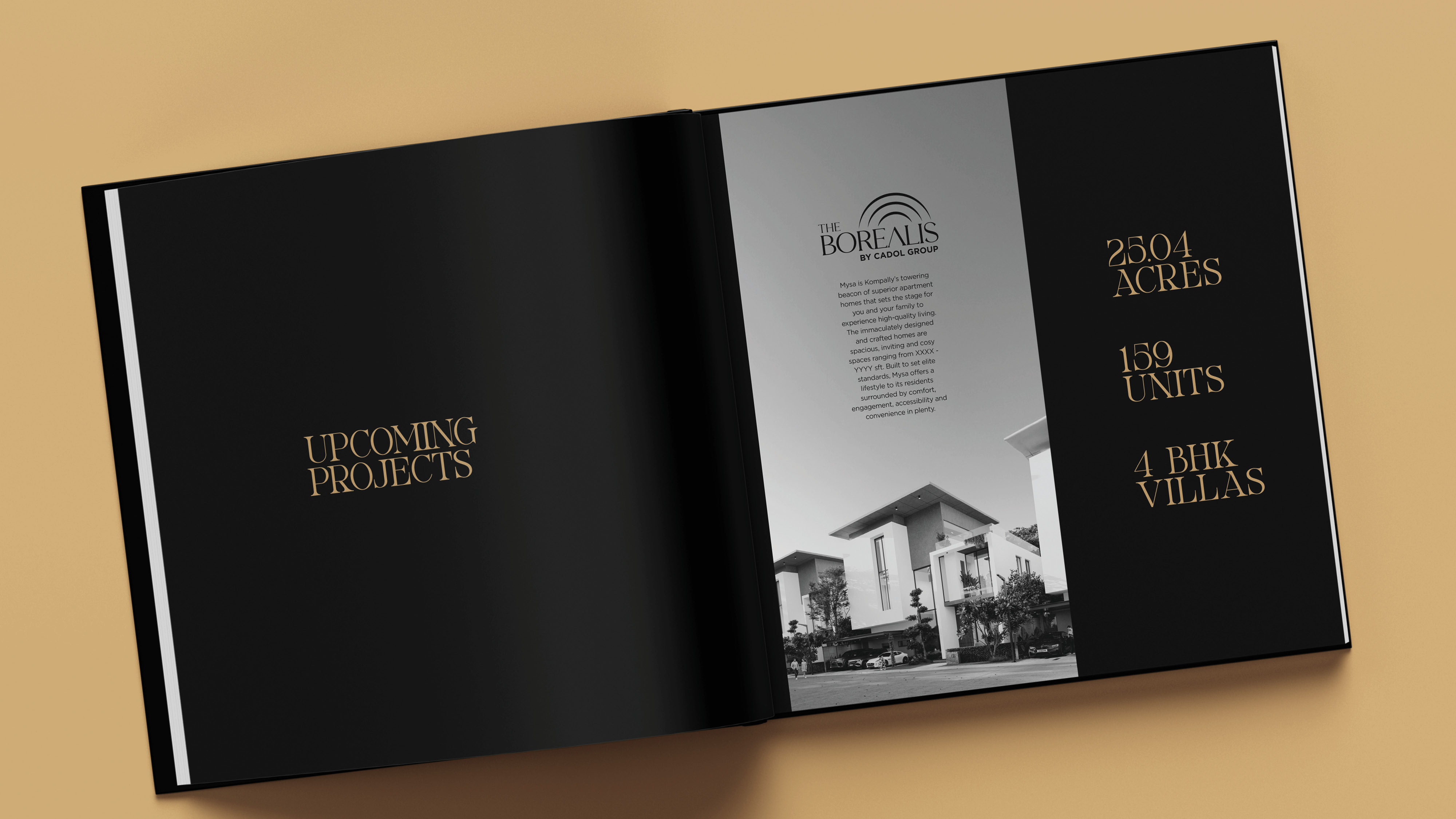 Opening slide_Cadol 19